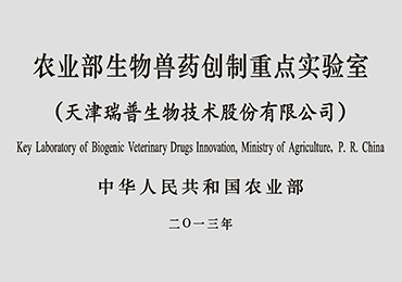 �ŵ�88(�й���)�ٷ���վ