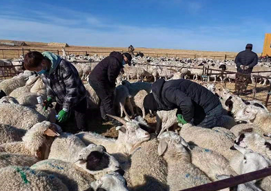 �ŵ�88(�й���)�ٷ���վ