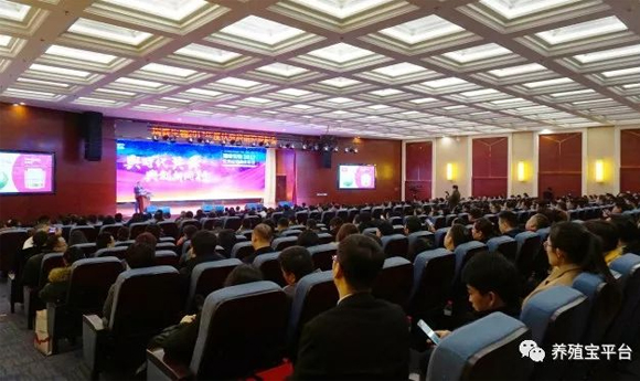 �ŵ�88(�й���)�ٷ���վ