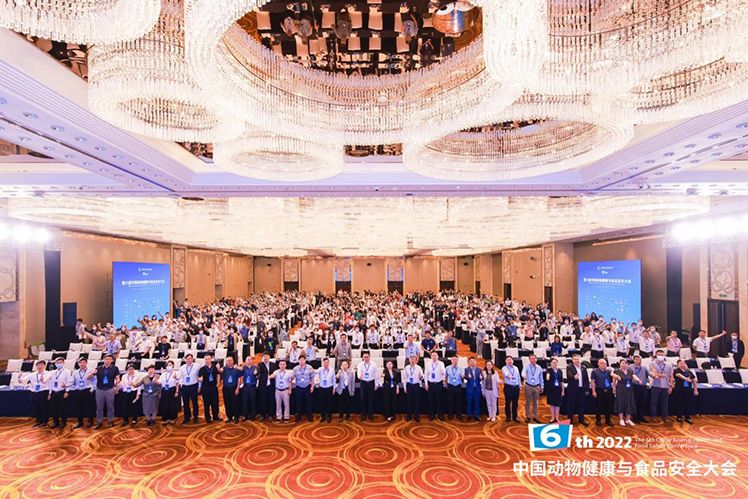 �ŵ�88(�й���)�ٷ���վ