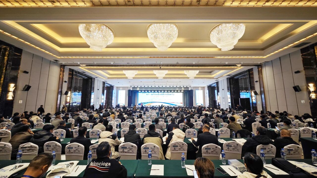 �ŵ�88(�й���)�ٷ���վ