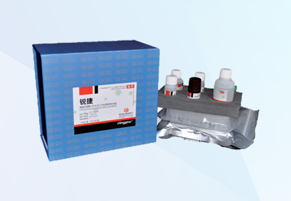 �ŵ�88(�й���)�ٷ���վ