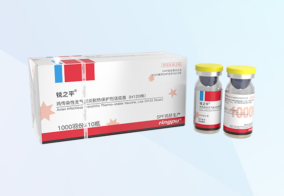 �ŵ�88(�й���)�ٷ���վ