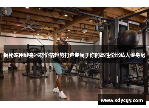 揭秘家用健身器材价格趋势打造专属于你的高性价比私人健身房