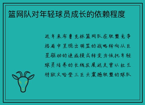 篮网队对年轻球员成长的依赖程度