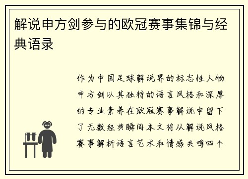 解说申方剑参与的欧冠赛事集锦与经典语录